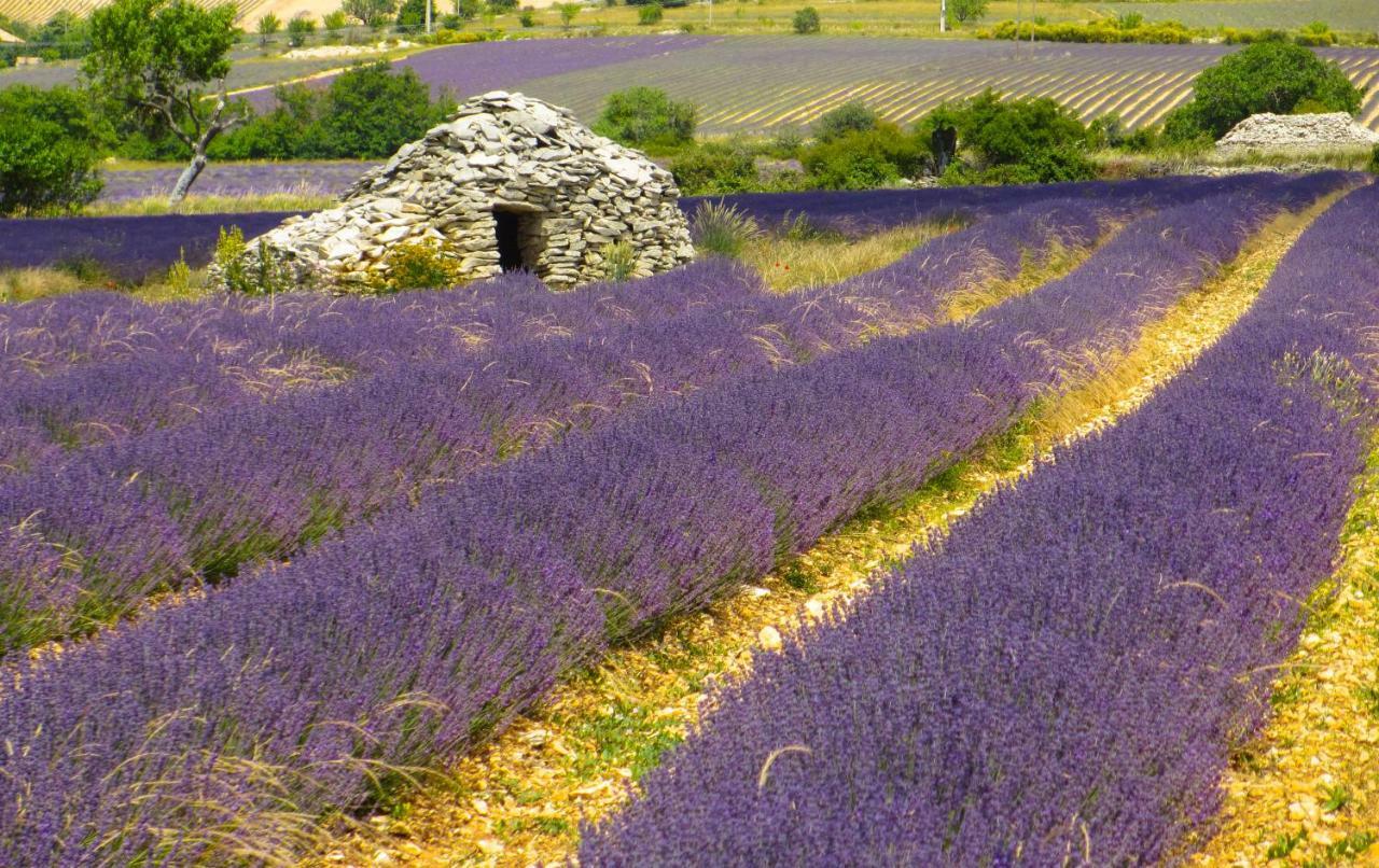 Chateau Des Gipieres Bij De Mont Ventoux Montbrun-les-Bains Ngoại thất bức ảnh