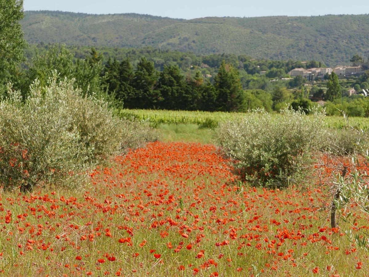 Chateau Des Gipieres Bij De Mont Ventoux Montbrun-les-Bains Ngoại thất bức ảnh