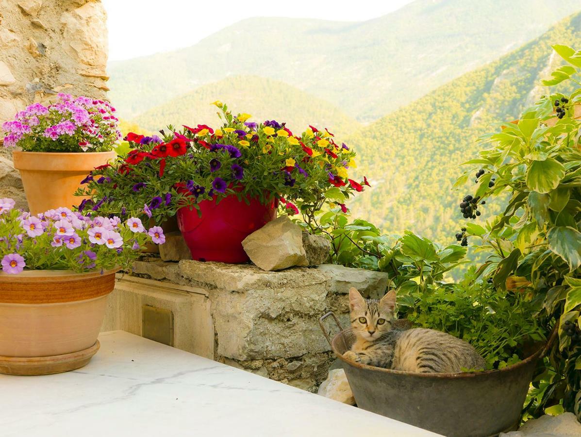 Chateau Des Gipieres Bij De Mont Ventoux Montbrun-les-Bains Ngoại thất bức ảnh