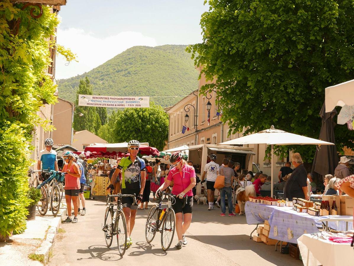 Chateau Des Gipieres Bij De Mont Ventoux Montbrun-les-Bains Ngoại thất bức ảnh