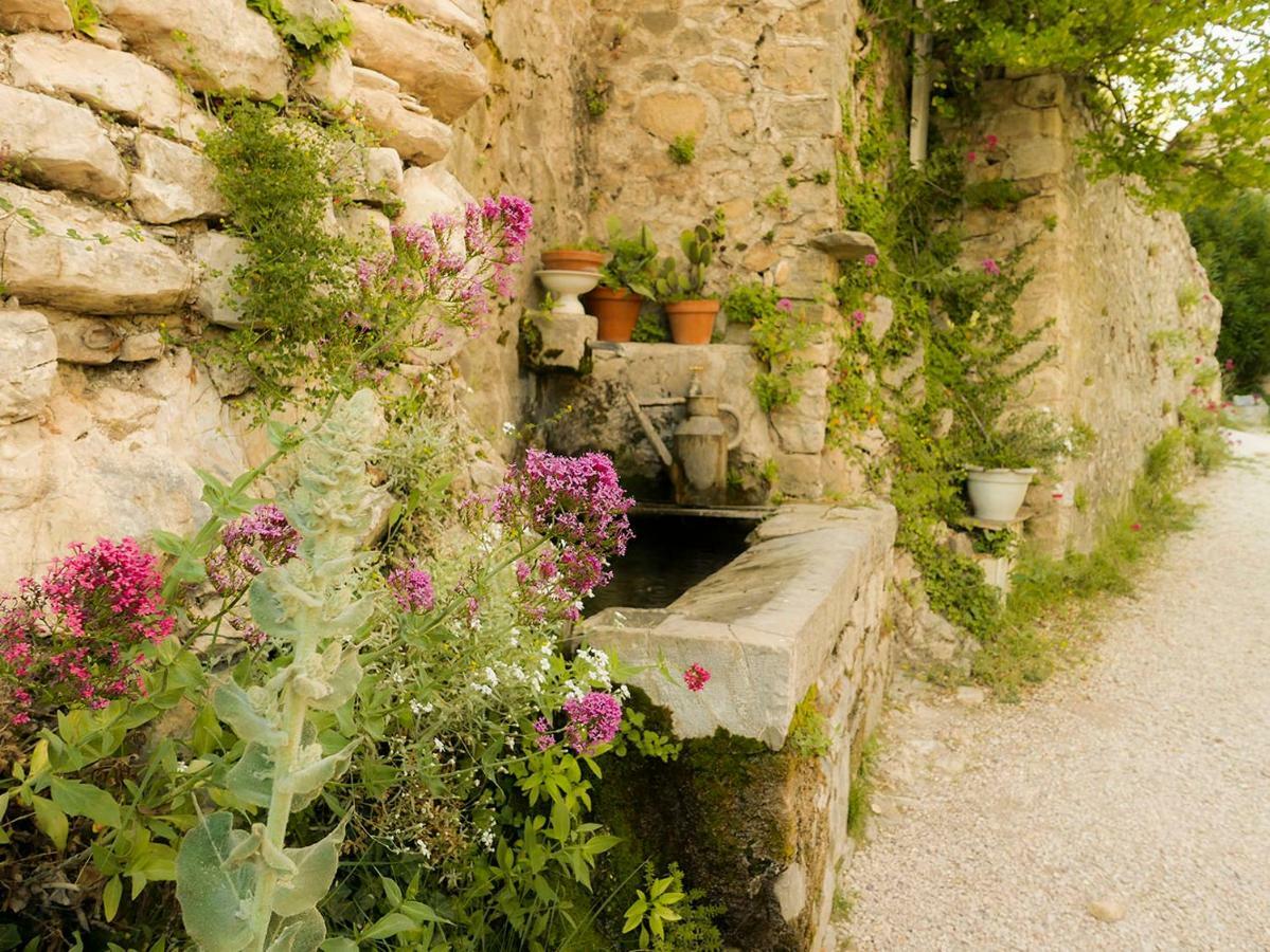 Chateau Des Gipieres Bij De Mont Ventoux Montbrun-les-Bains Ngoại thất bức ảnh